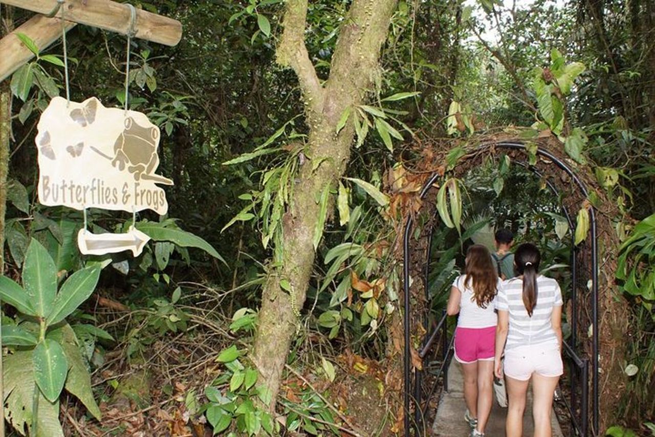 6 in 1 Adventure Rainforest da San Jose — 6