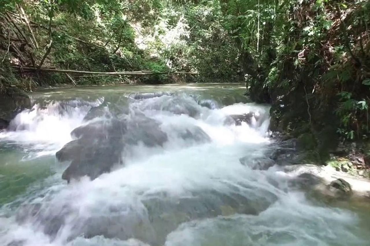 Combo di Horseback Ride e Mayfield Falls da Negril — 4