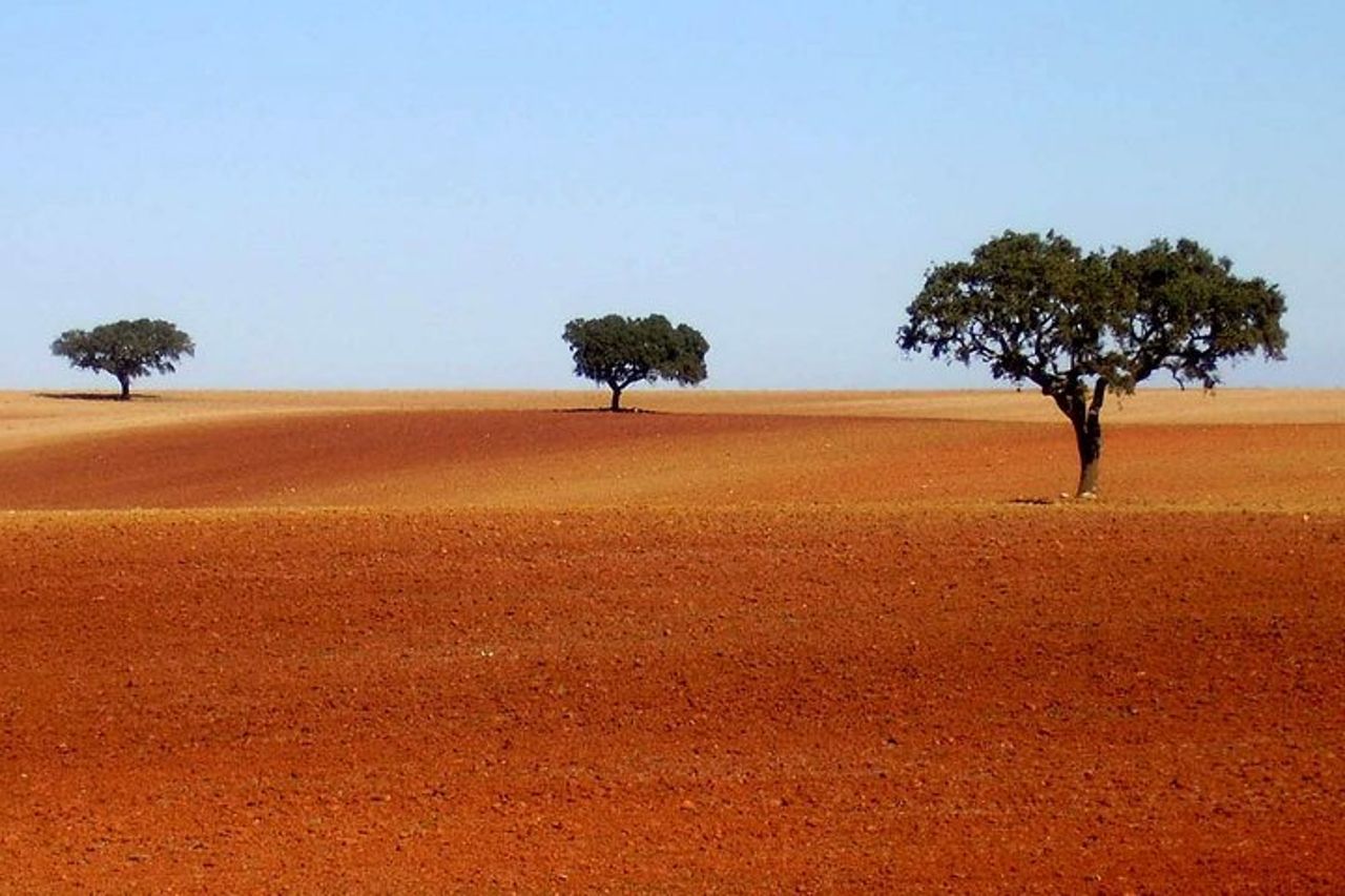 Vini di Evora & Alentejo: un viaggio tra storia e sapori — 2