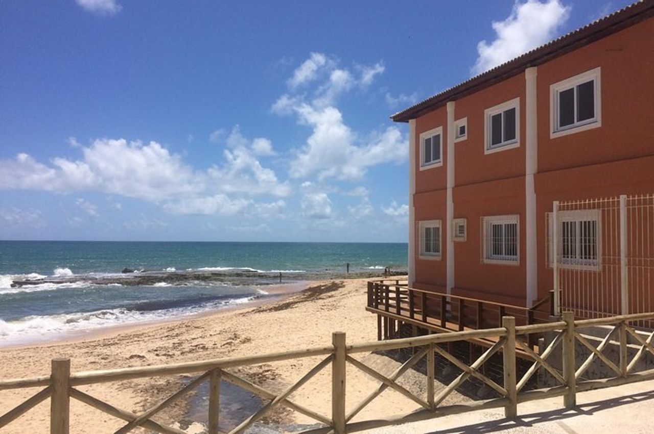Tour di un'intera giornata in spiaggia da Salvador a Praia do Forte — 4