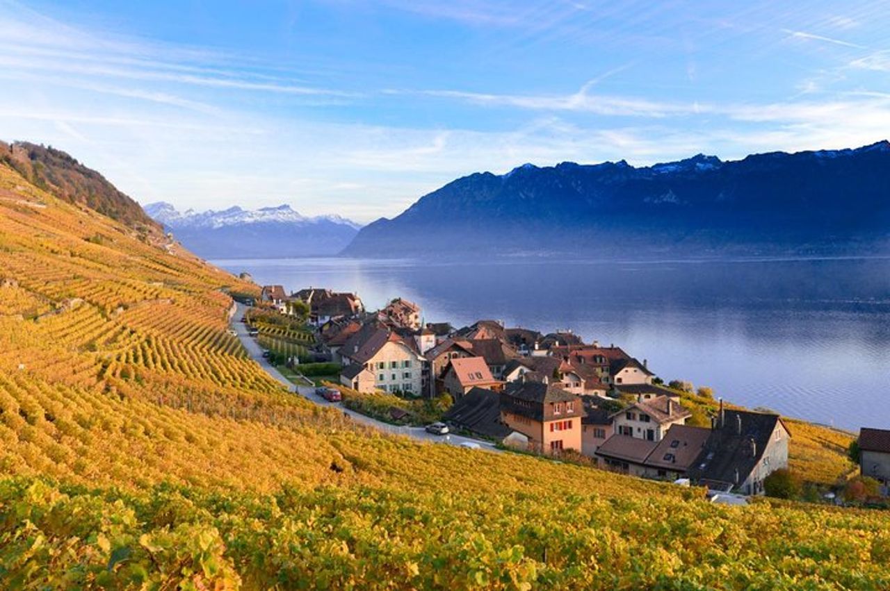 Tour privato della Riviera Svizzera da Ginevra — 4