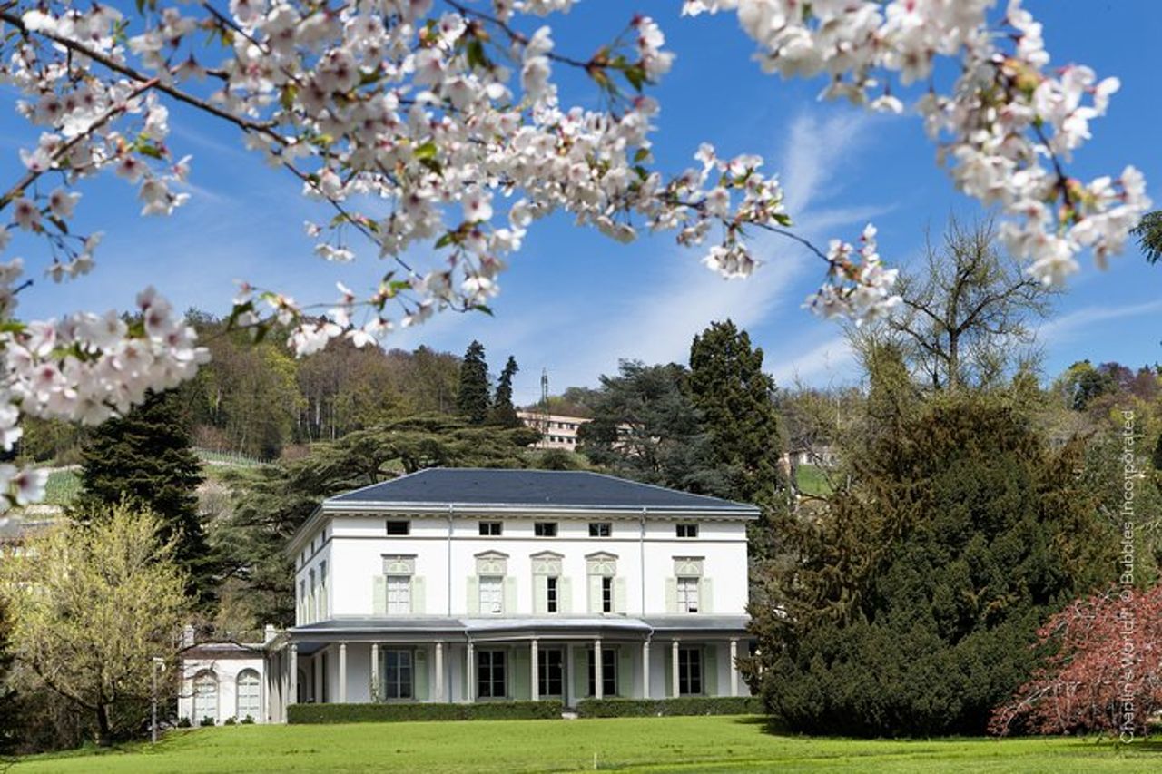 Tour privato della Riviera Svizzera da Ginevra — 3