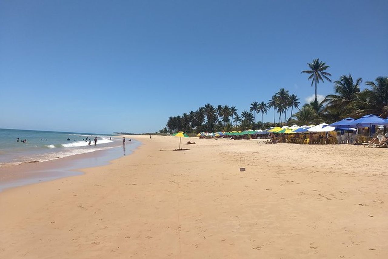 Tour privato a Praia do Forte e Praia de Guarajuba da Salvador — 4