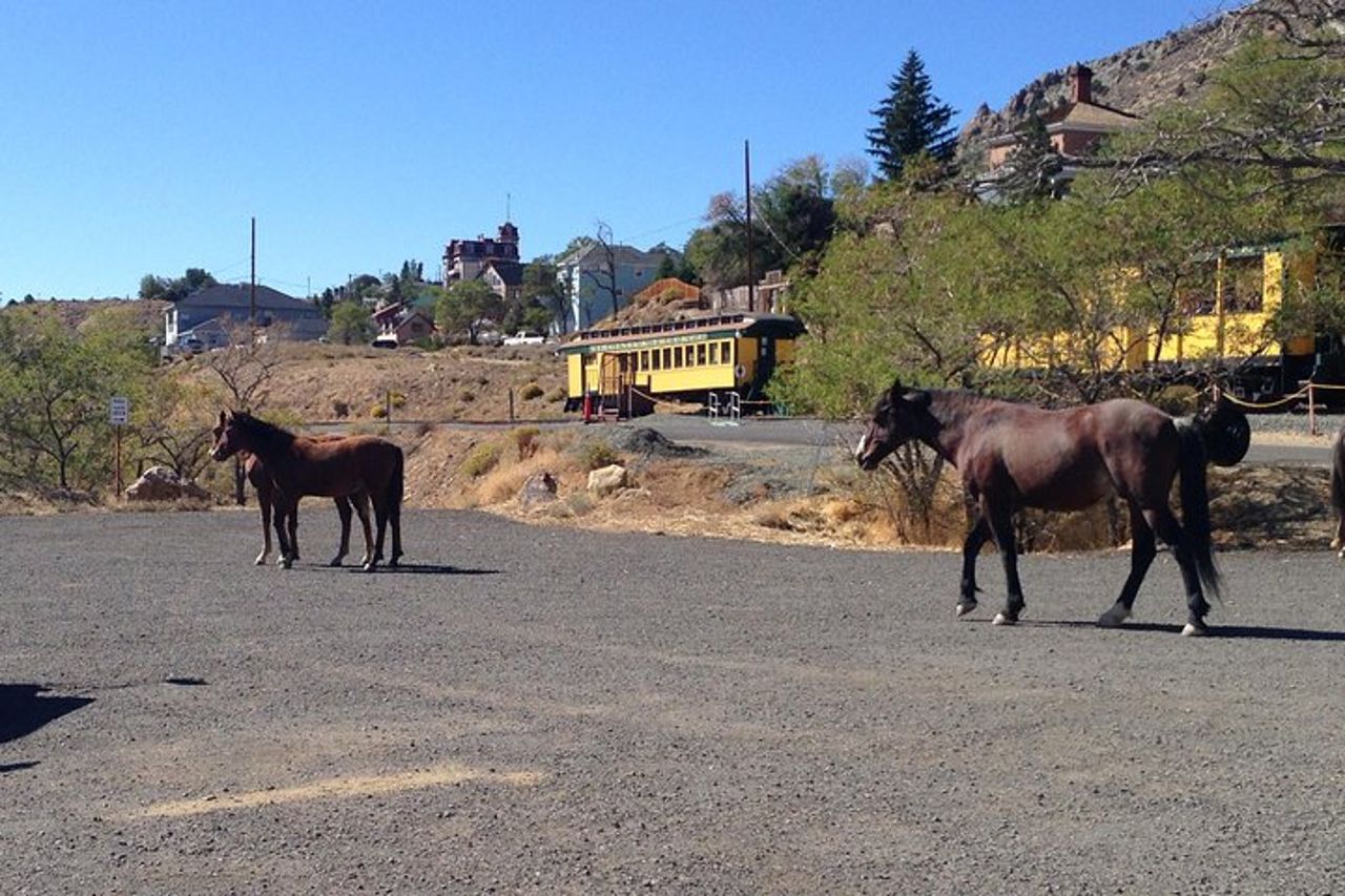 Gita di un giorno nel selvaggio West a Virginia City da Tahoe con viaggio in treno — 6