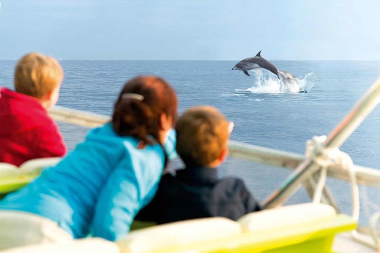 Gita in barca all'alba a Maiorca con Dolphin-Watching — 2