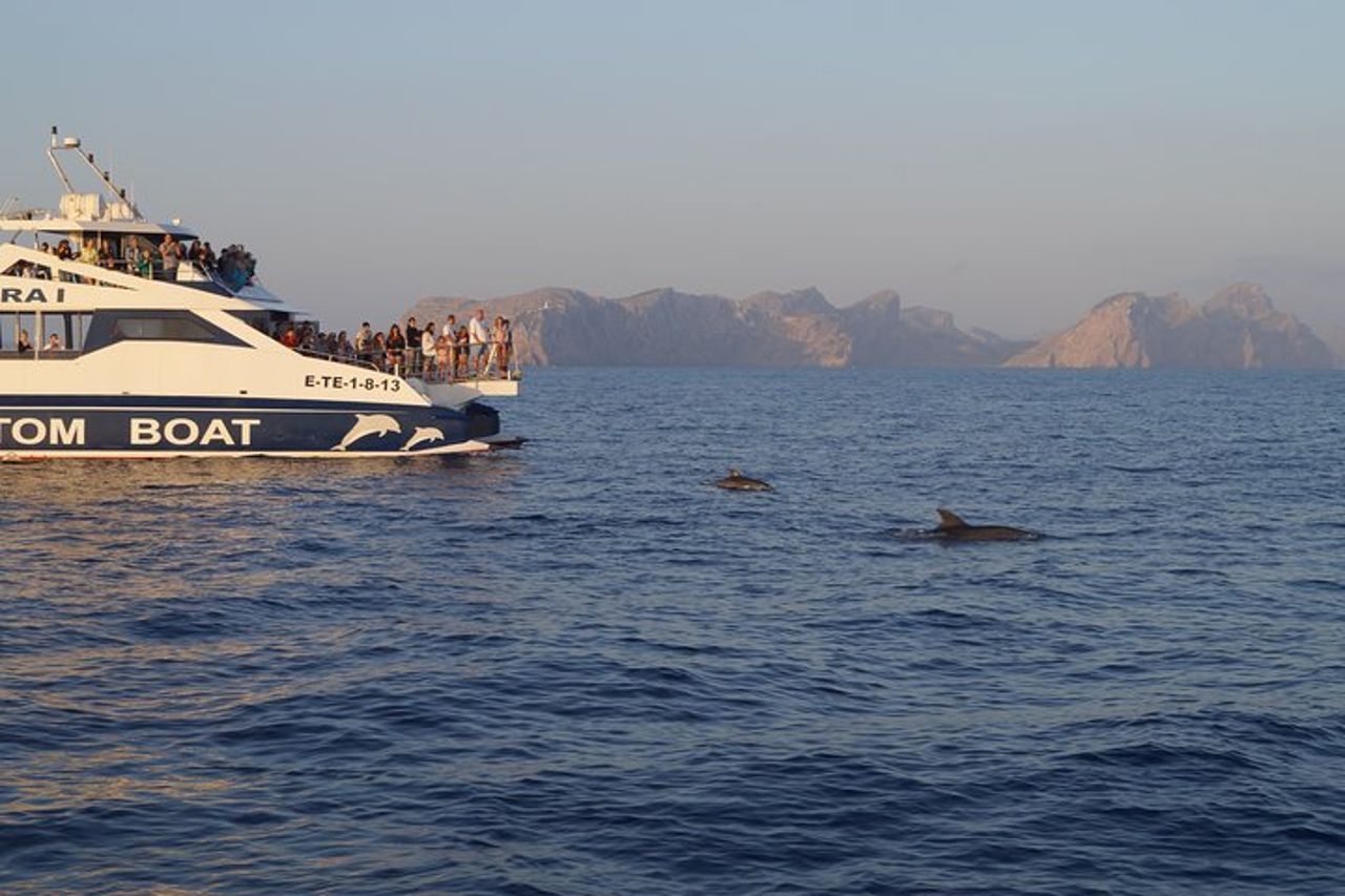 Gita in barca all'alba a Maiorca con Dolphin-Watching — 8