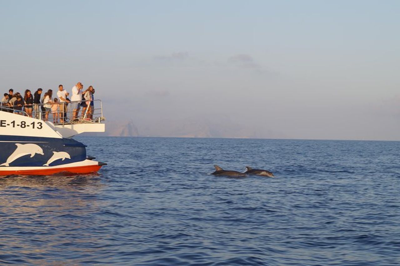 Gita in barca all'alba a Maiorca con Dolphin-Watching — 9