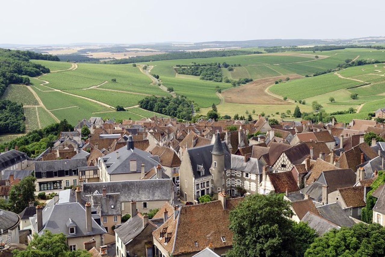 Sancerre & Pouilly-Fumé Wine Tour Degustazione di formaggi di capra