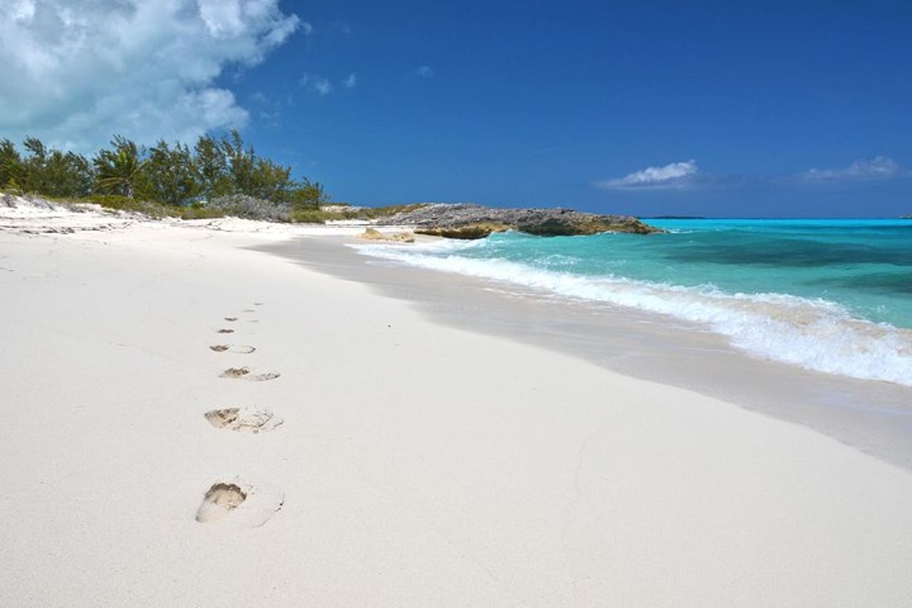 8 ore 38 piedi Reel Dreams Private Charter Nassau — 4