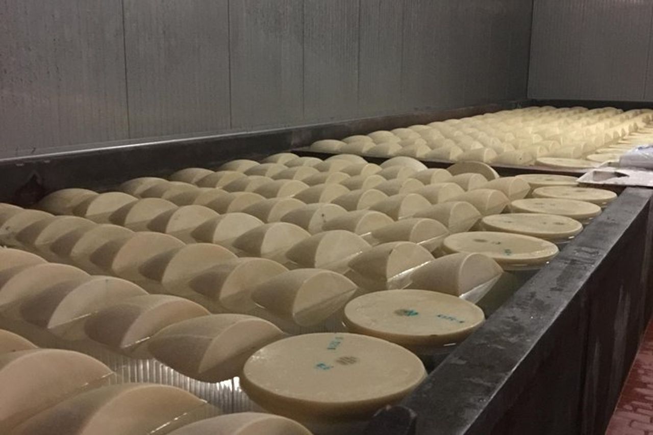 Tour di un giorno da Padova: ville venete, cittadine medievali e produzione di Grana Padano — 6