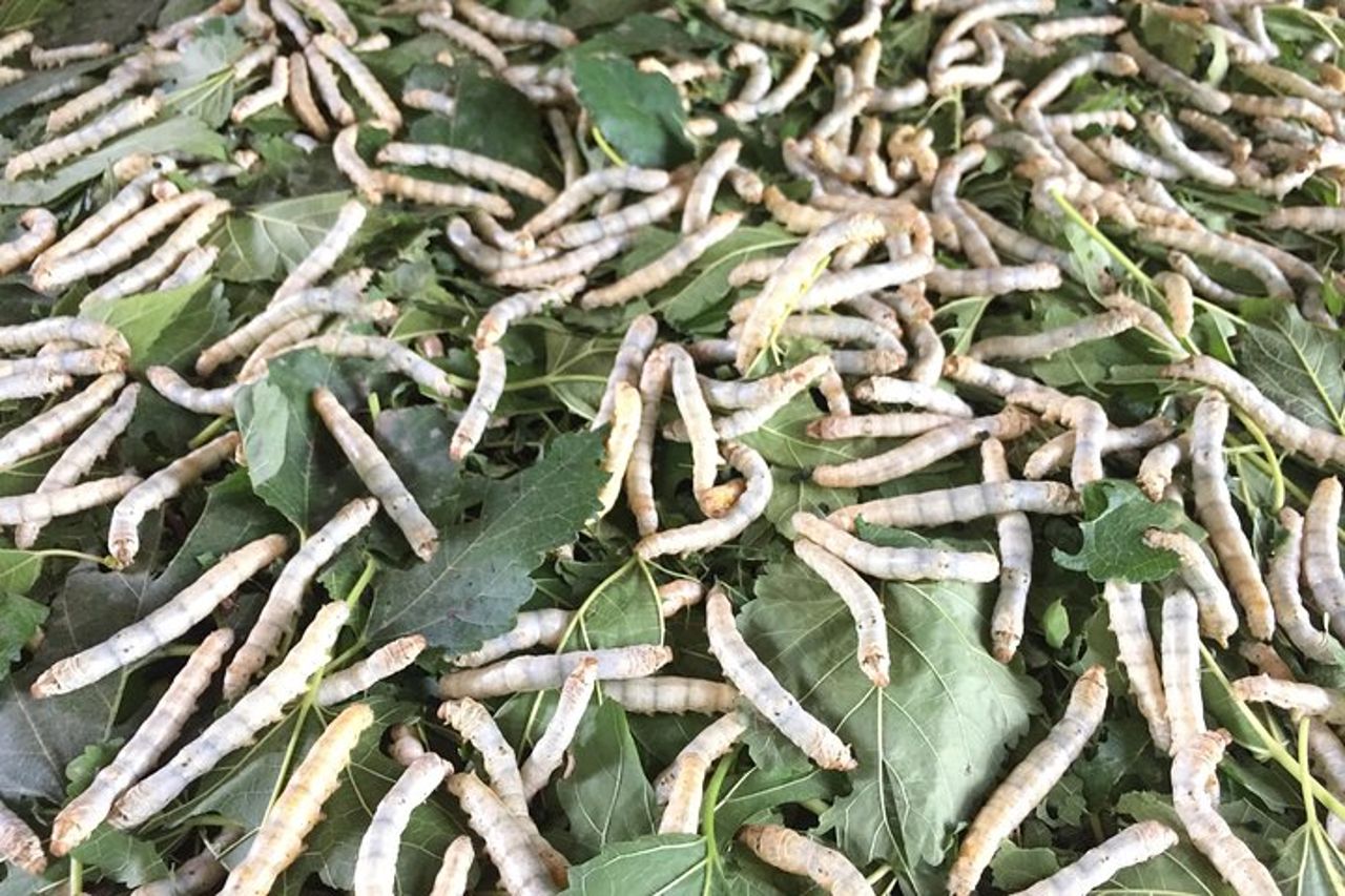 Crociera sull'Isola del Seta del Mekong: birra illimitata, bevande analcoliche e piatto di frutta fresca — 6