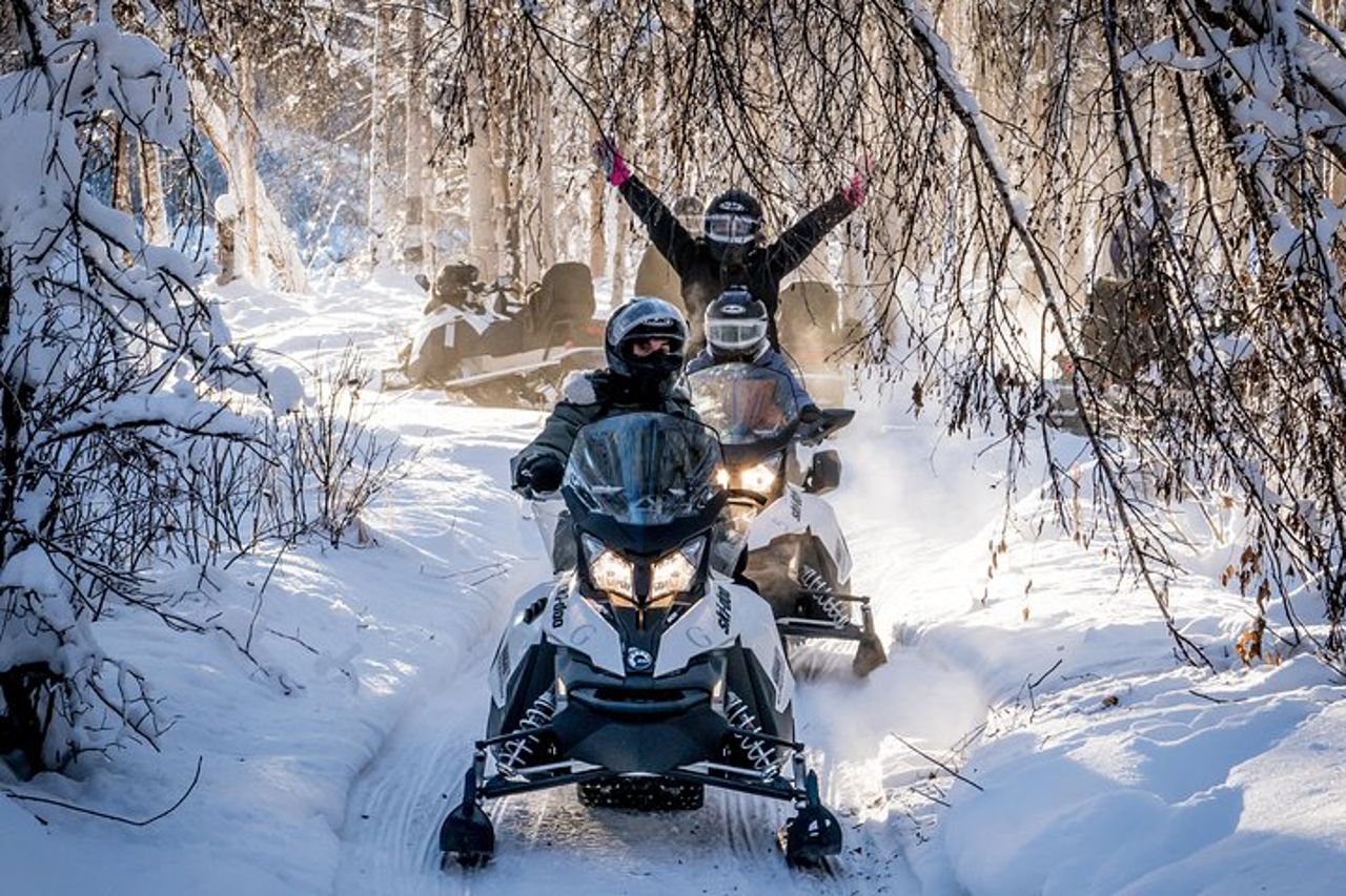 Tour guidato della motoslitta di Fairbanks — 2