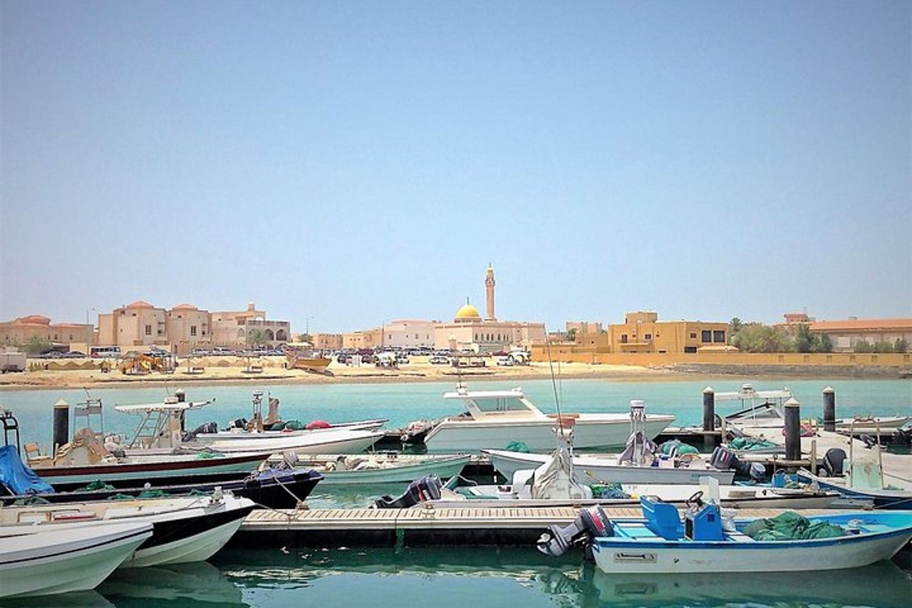 Tour di mezza giornata del Qatar del Nord:Al Zubarah, Isola Viola & Mangrovie — 7