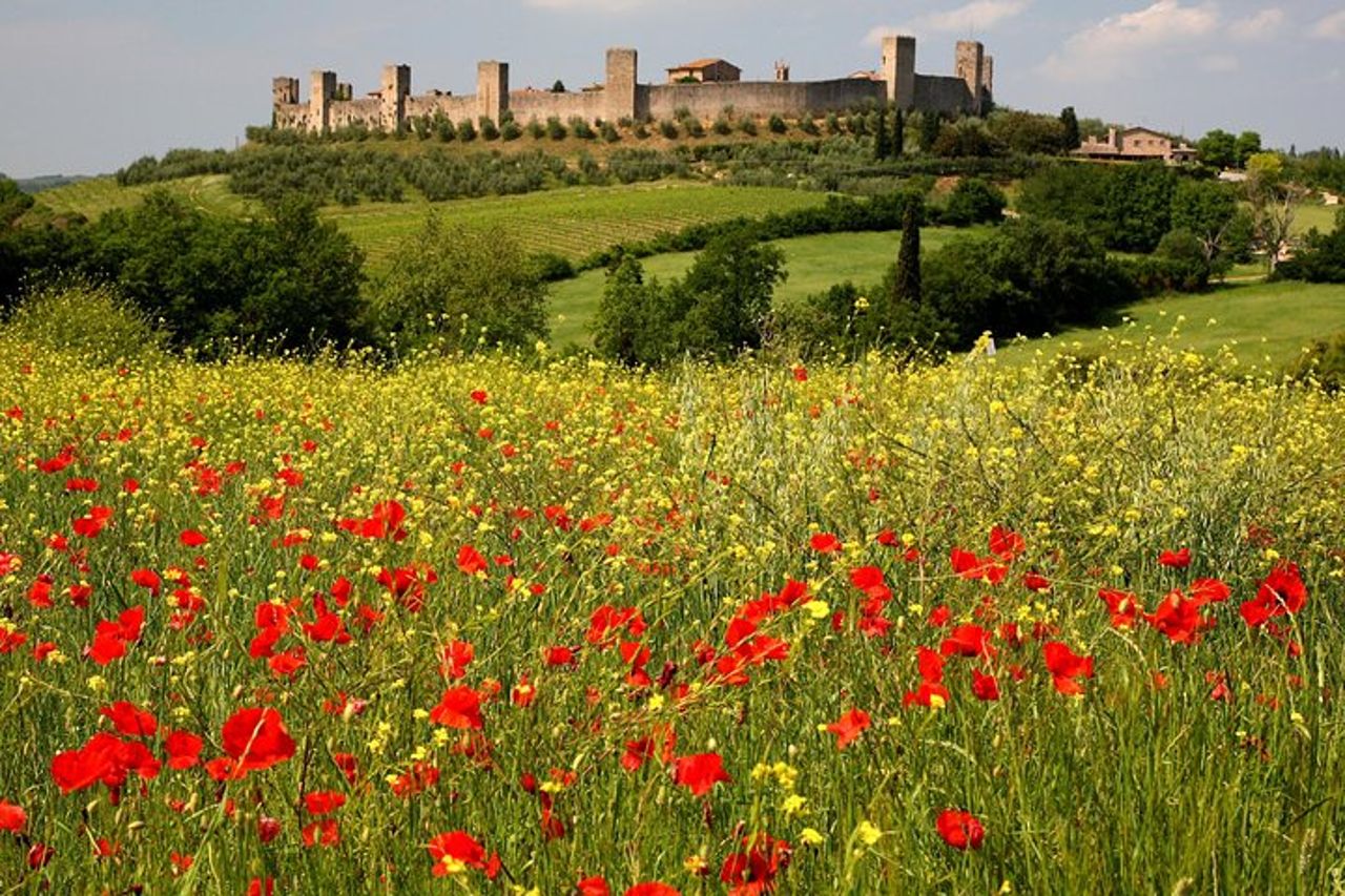 Escursione in Toscana da Siena con degustazione di vini — 2