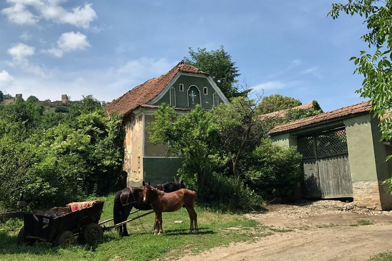 Tour del Castello di Bran e della Fortezza di Rasnov, da Brasov — 6