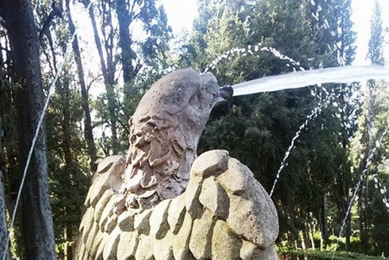 Tour privato di mezza giornata a Tivoli da Roma : villa d’Este — 9