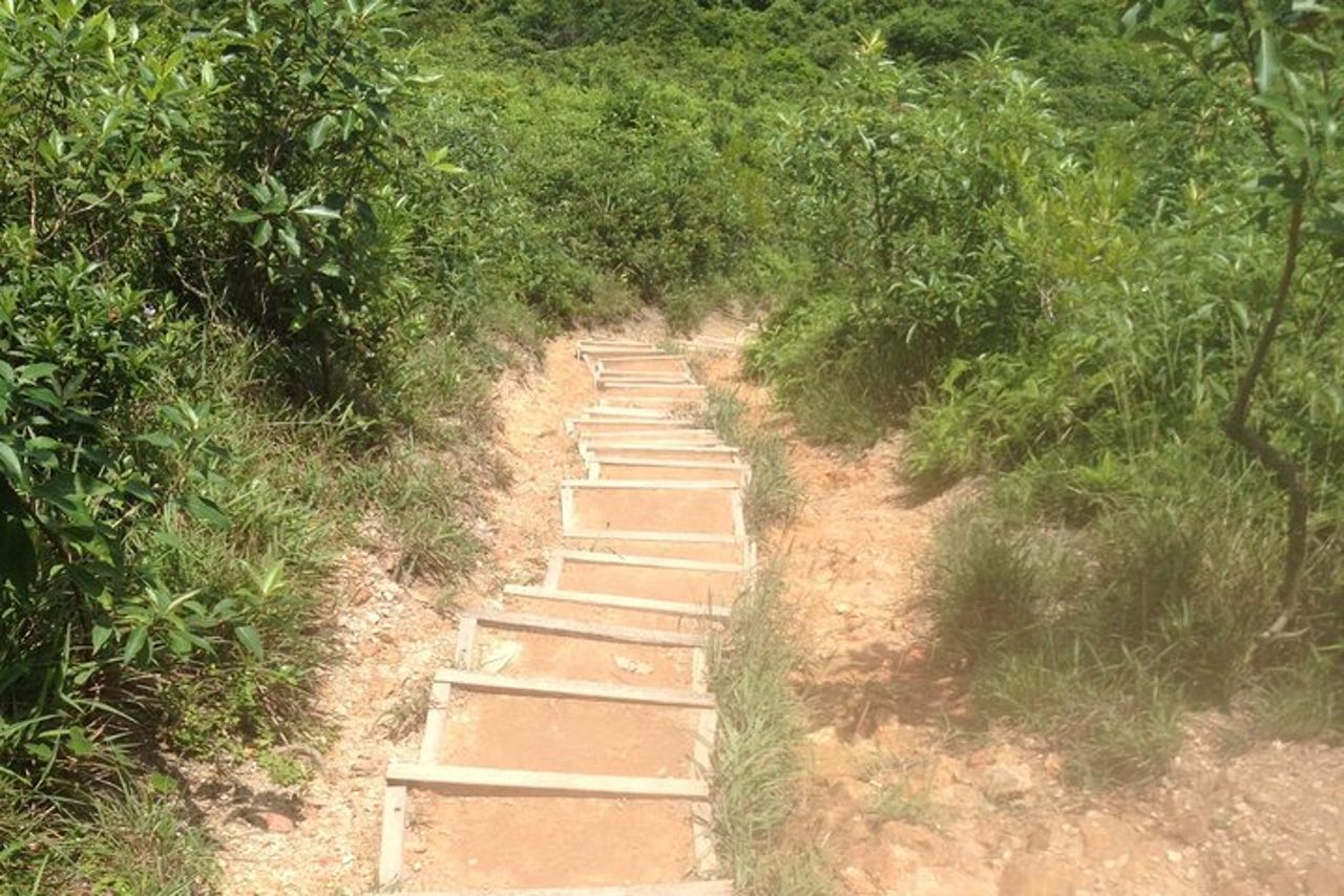 Tour a piedi della schiena del drago, Hong Kong — 8