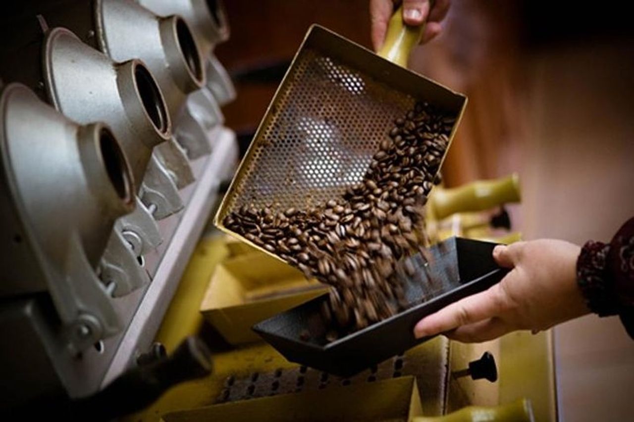 Tour del caffè Britt da San José — 2