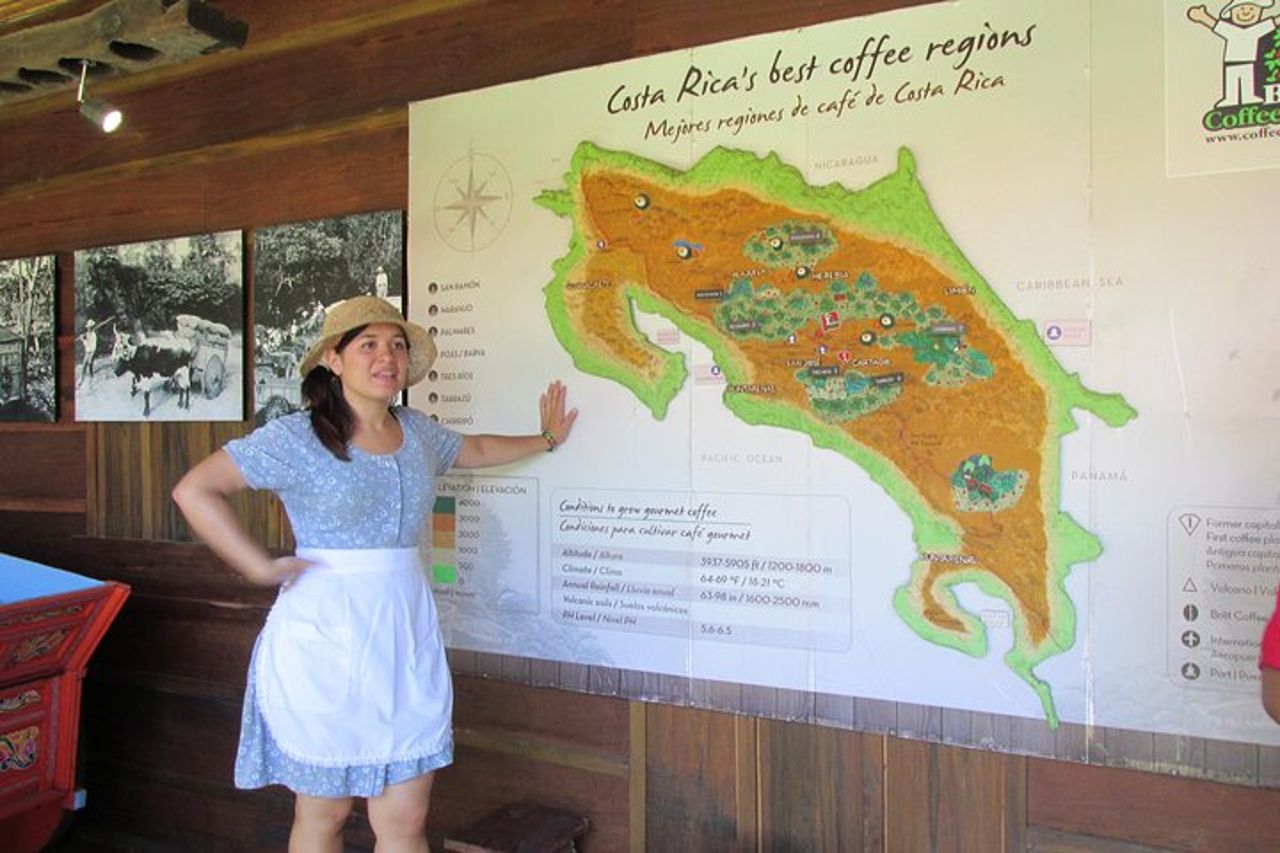 Tour del caffè Britt da San José — 5