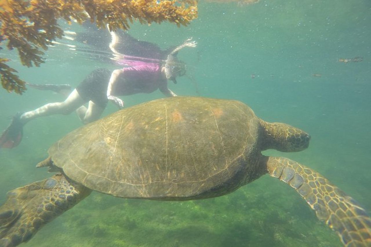 Godetevi il meglio di Quito e Galapagos (3 isole) 8 giorni di viaggio — 3