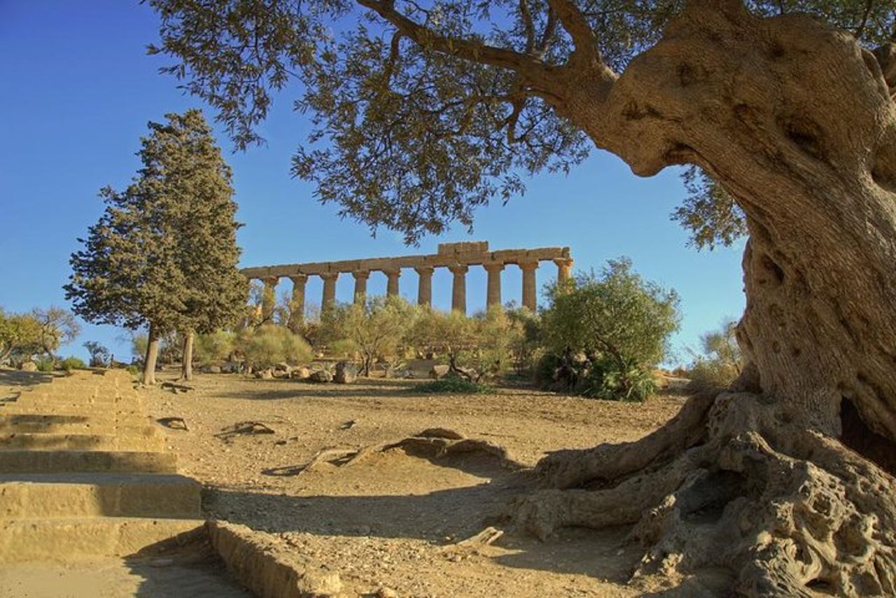Escursione di un giorno da Taormina alla Valle dei Templi e alla Villa Romana del Casale — 5