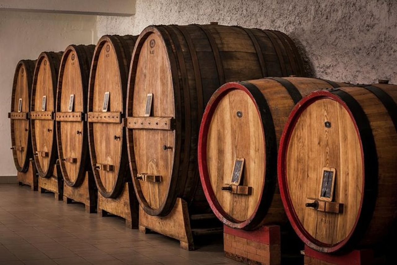 Enologo per un giorno: tour di un'azienda vinicola biologica — 6