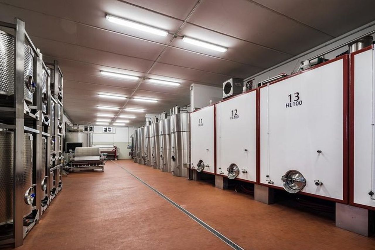 Enologo per un giorno: tour di un'azienda vinicola biologica — 7