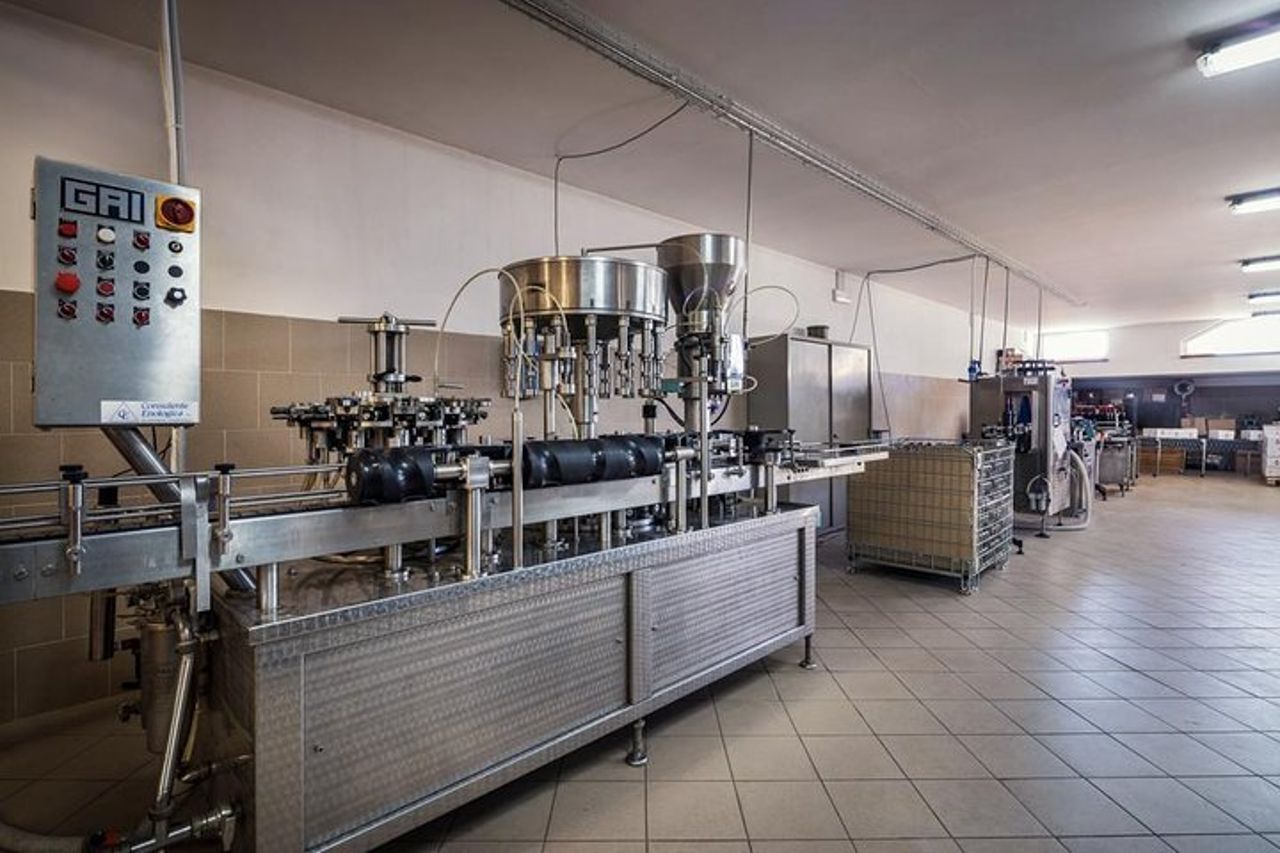 Enologo per un giorno: tour di un'azienda vinicola biologica — 8