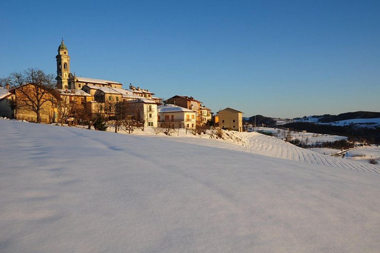 Tour privato da Torino: intera giornata nella regione delle Langhe con i suoi colori e sapori — 5