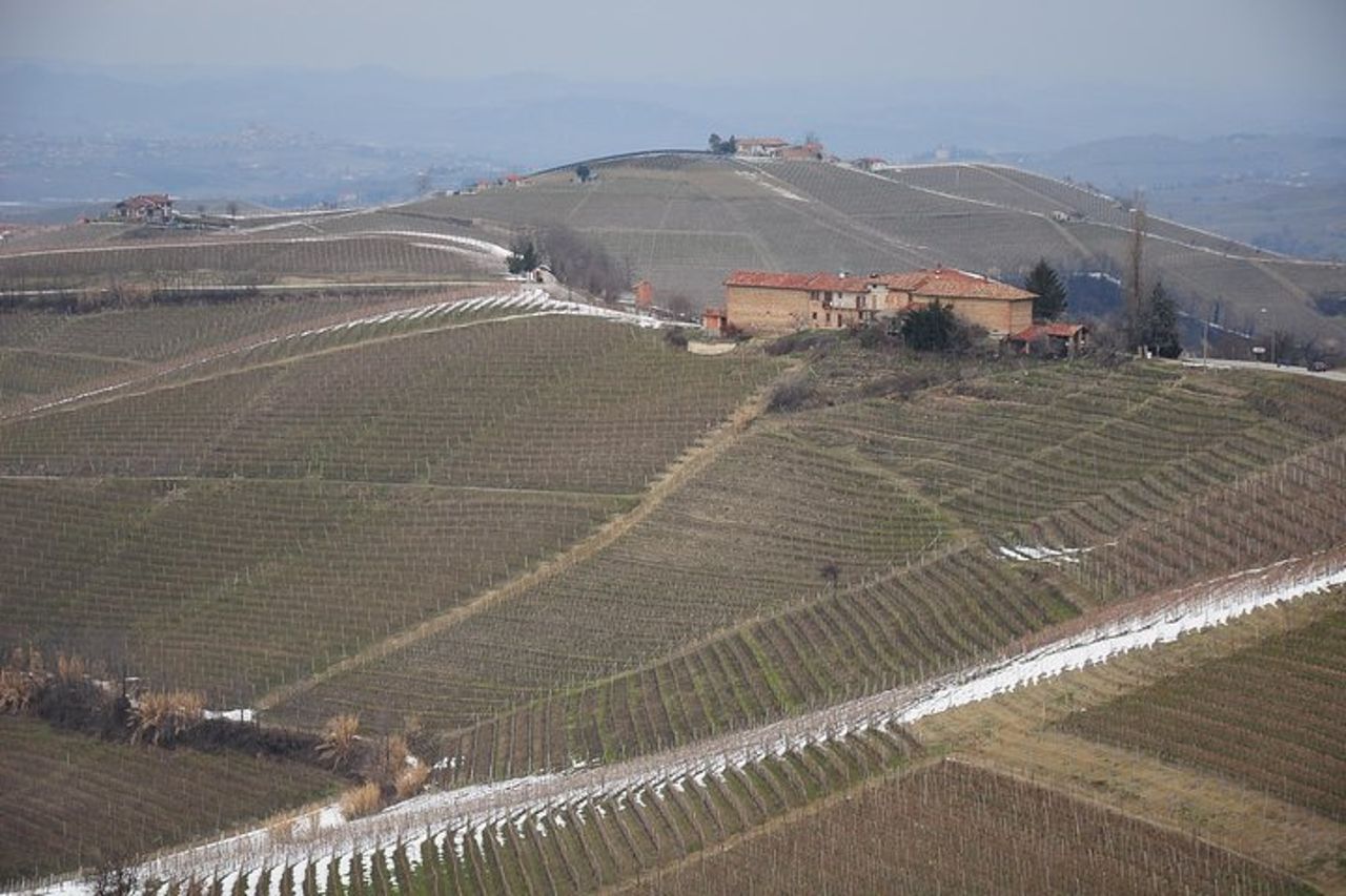 Tour privato da Torino: intera giornata nella regione delle Langhe con i suoi colori e sapori — 6