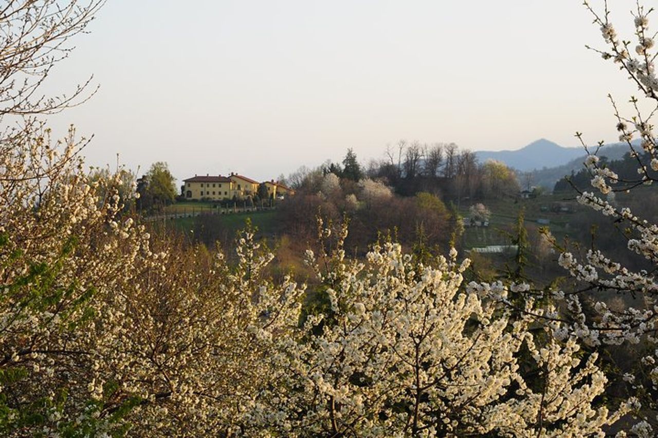 Tour privato da Torino: intera giornata nella regione delle Langhe con i suoi colori e sapori — 3