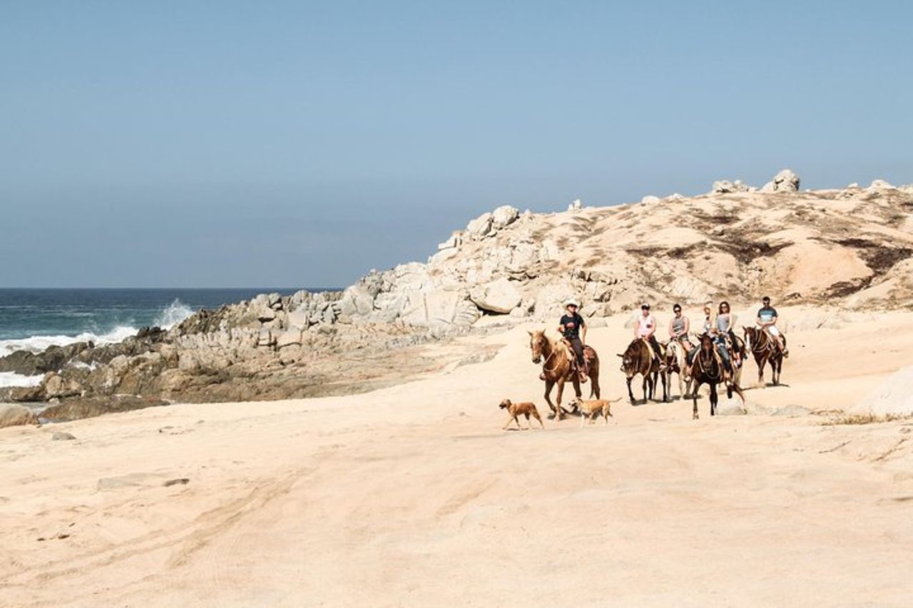 Tour a cavallo a Cabo San Lucas — 7