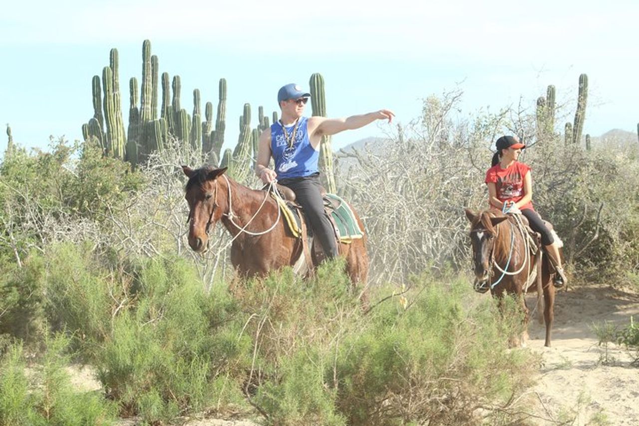 Tour a cavallo a Cabo San Lucas — 4