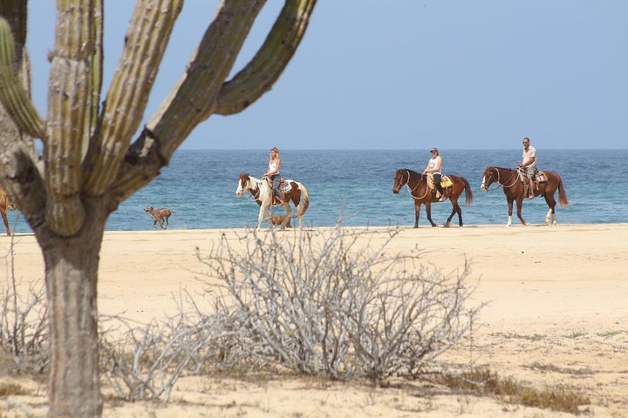 Tour a cavallo a Cabo San Lucas — 6