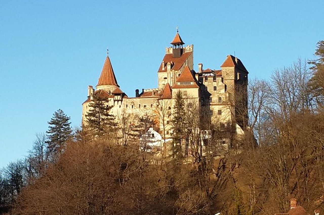 Sapori della Romania – Vigneti e Castelli 4 - Tour di lusso di un giorno — 6