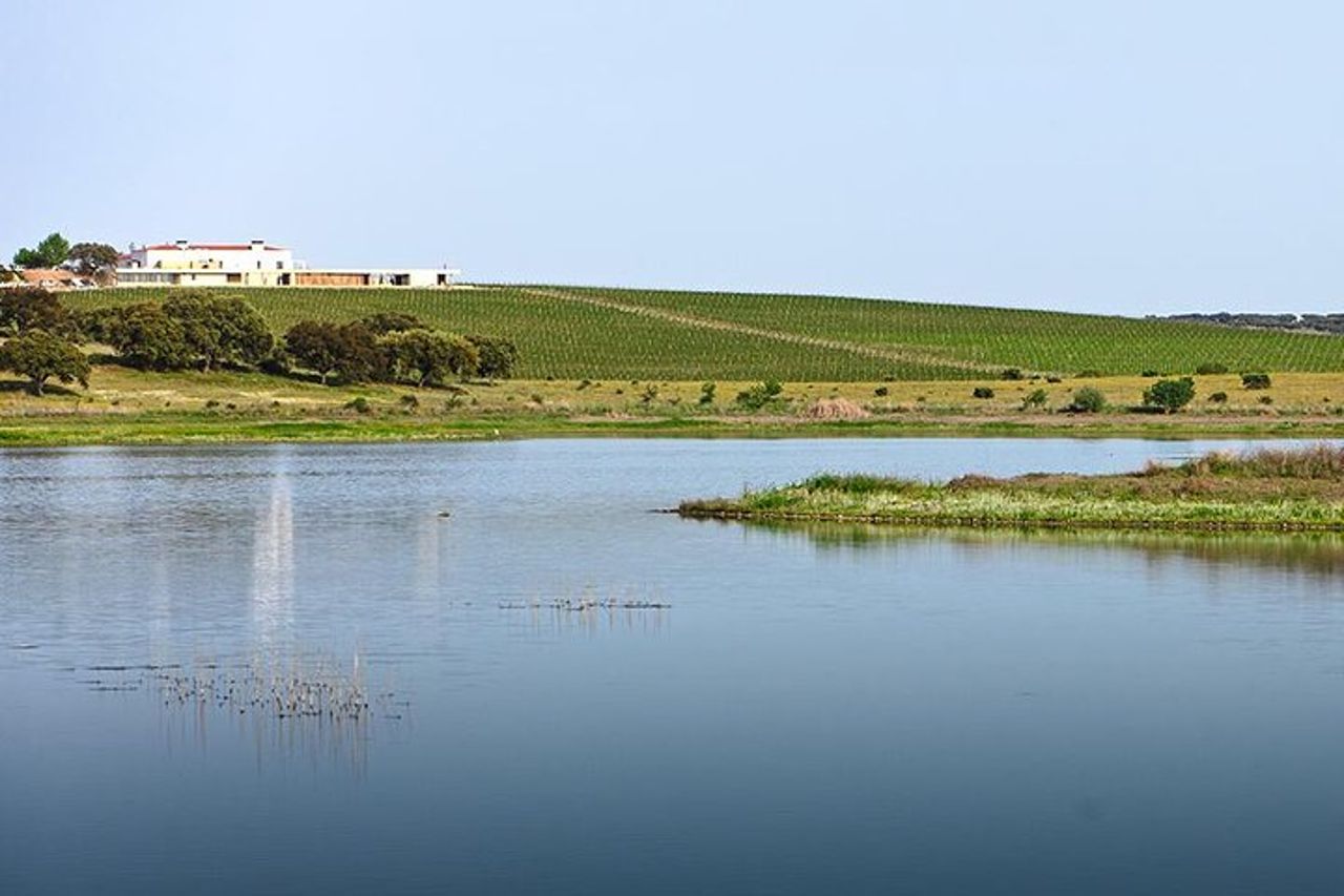 Esperienza personalizzata privata Evora da Lisbona — 8