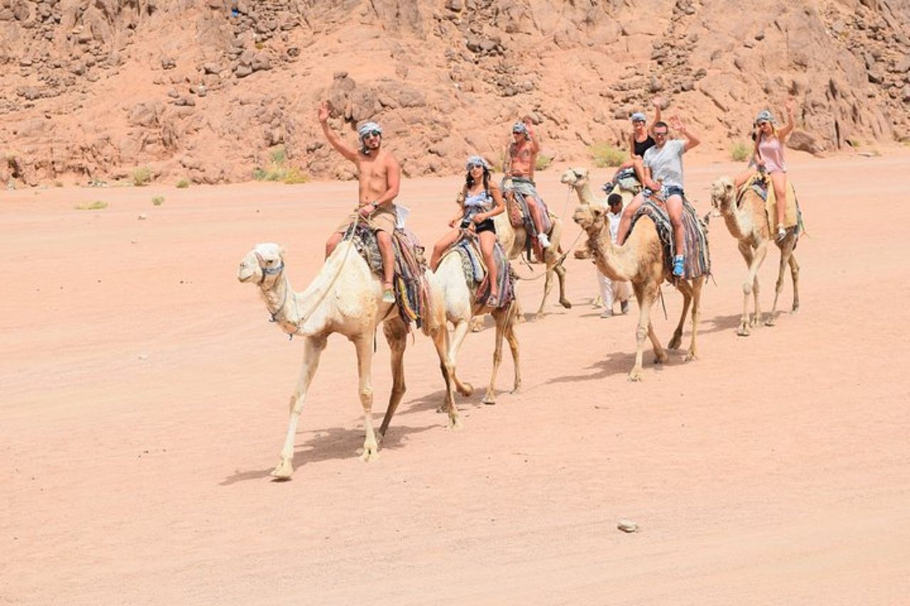 Sharm El Sheikh Avventura nel Deserto (5X1) — 5