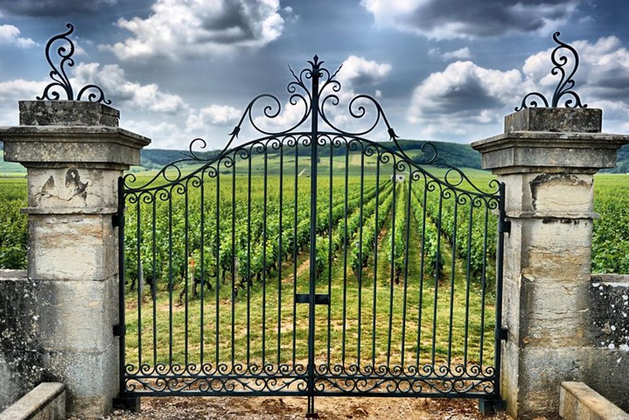 Gita di un giorno a Saint Emilion con tour panoramico e degustazioni di vini da Bordeaux — 6