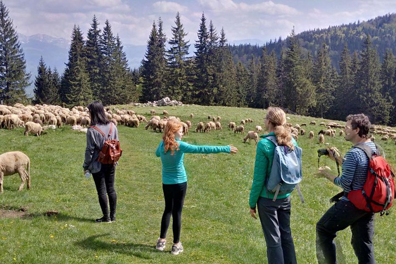 2 giorni di Transylvania Culture Trek da Brasov - Small Group Tour — 3