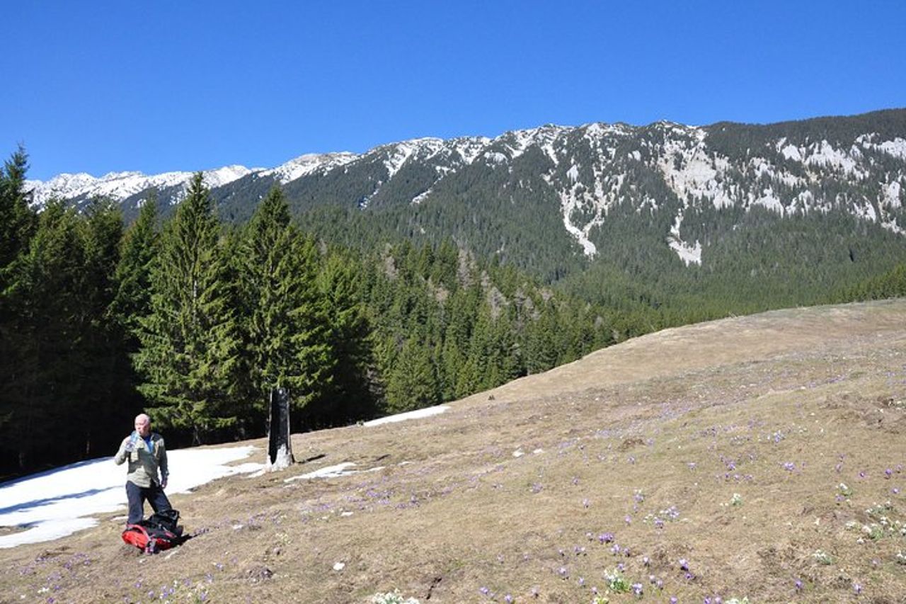 2 giorni di Transylvania Culture Trek da Brasov - Small Group Tour — 4
