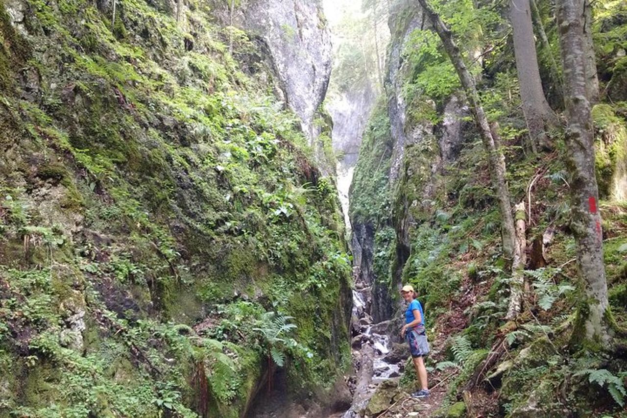 2 giorni di Transylvania Culture Trek da Brasov - Small Group Tour — 6