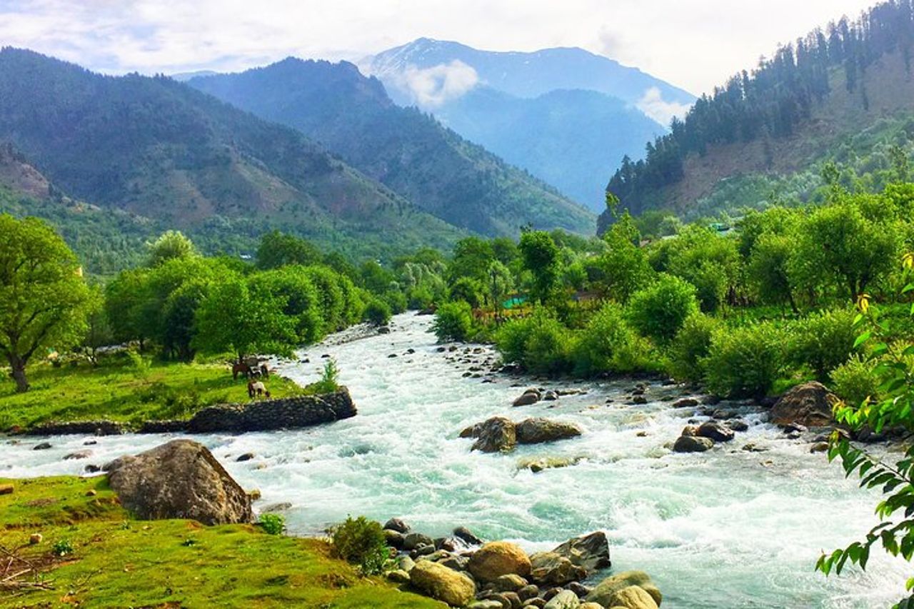 5 - Tour di un giorno in Kashmir con trasferimenti privati e soggiorno in hotel — 6