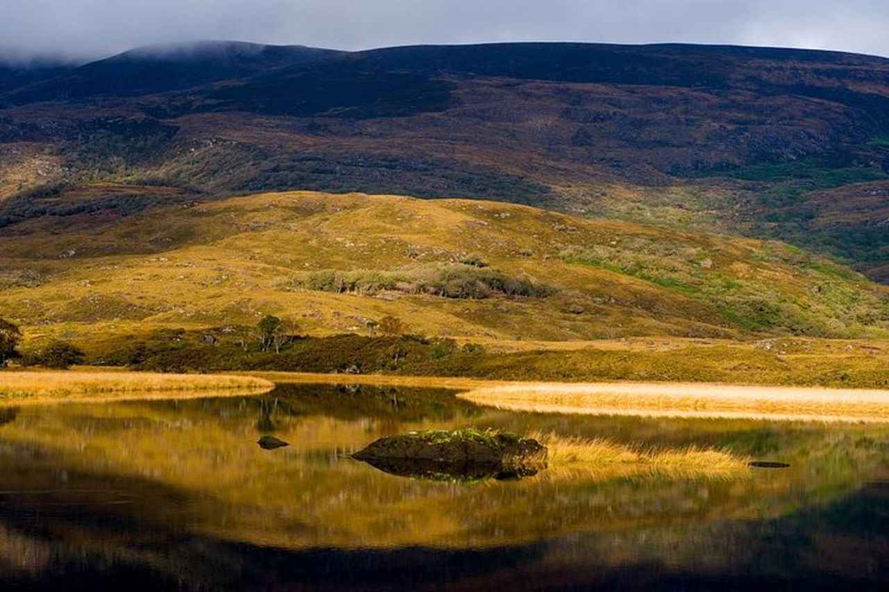 Tour di un giorno del Ring of Kerry da Killarney: incluso il parco nazionale di Killarney — 9