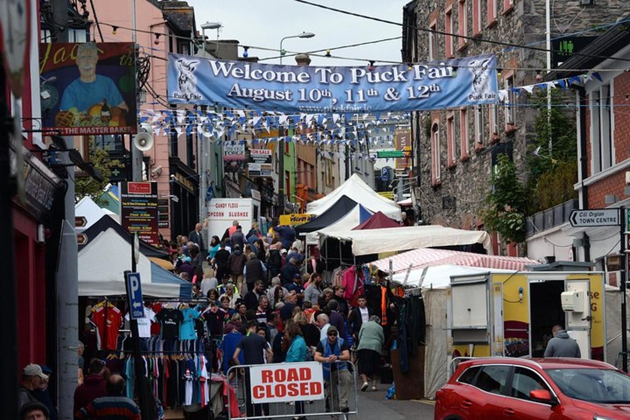 Tour di un giorno del Ring of Kerry da Killarney: incluso il parco nazionale di Killarney — 3