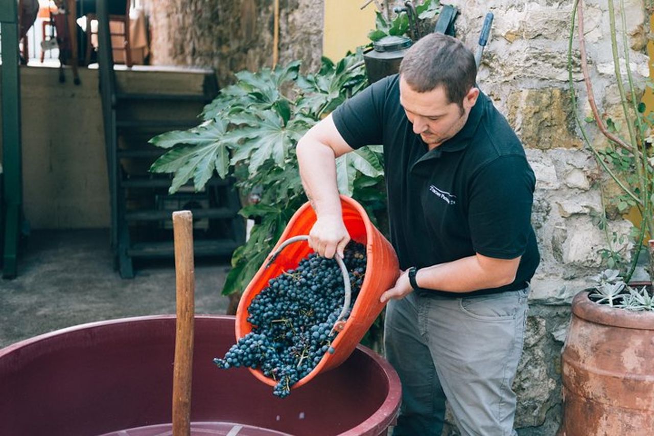 Pigiatura privata dell'uva presso Chianti Agriturismo — 4