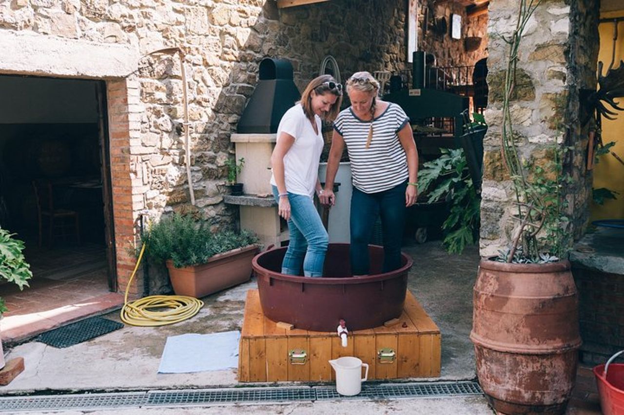 Pigiatura privata dell'uva presso Chianti Agriturismo — 8