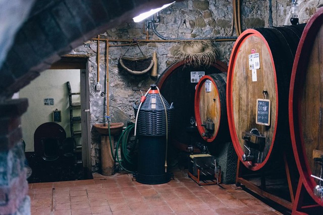 Tour privato del vino off road nel Chianti da Siena — 5