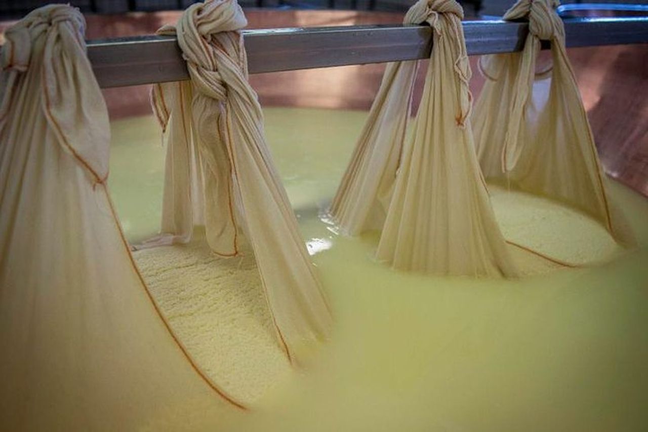 Tour del caseificio del Parmigiano Reggiano ed esperienza di degustazione — 4