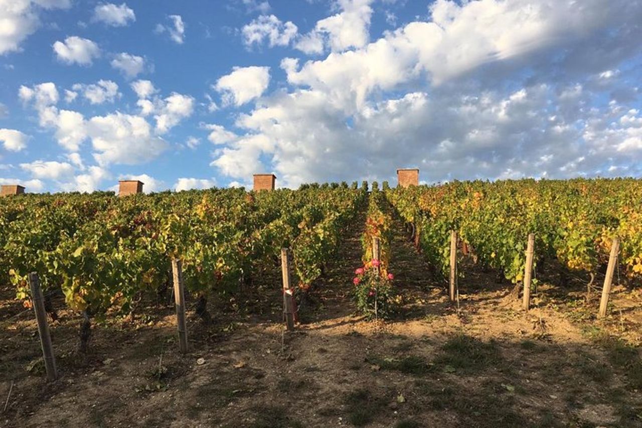 Tour del doppio vino per piccoli gruppi della Valle della Loira e dello Champagne — 4