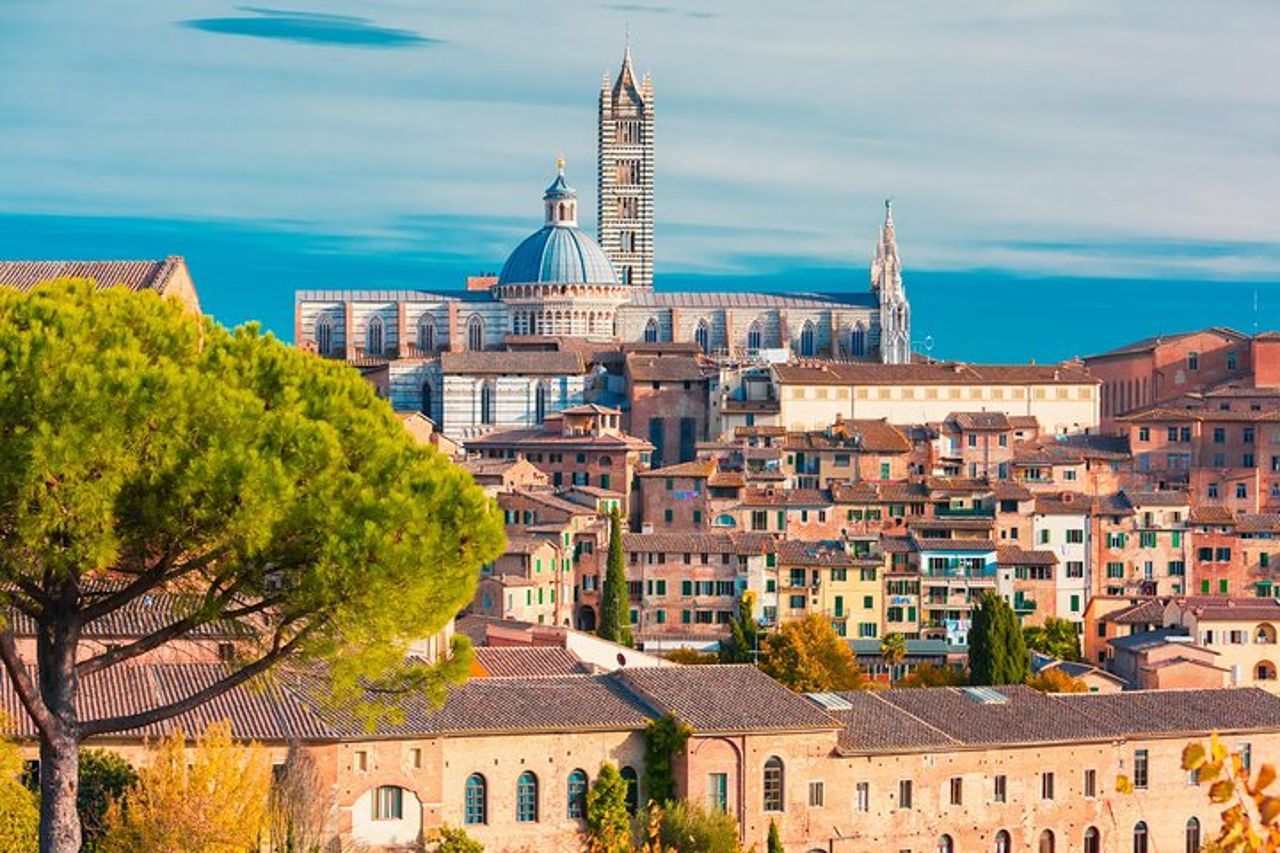 Toscana: gita di un giorno a Pisa, Siena, San Gimignano e Chianti — 3